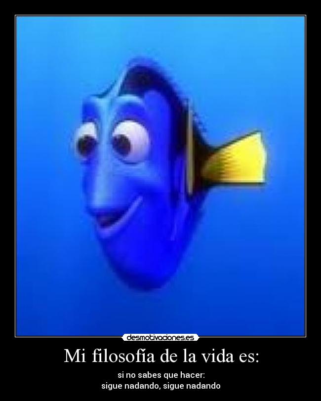 carteles filosofia vida buscando nemo dori pelicula dibujos animados sigue nadando filosofia vida desmotivaciones