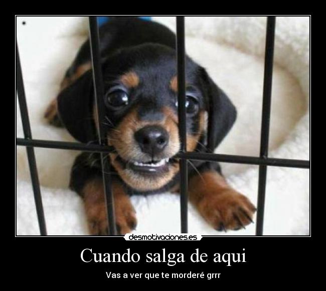 Cuando salga de aqui -