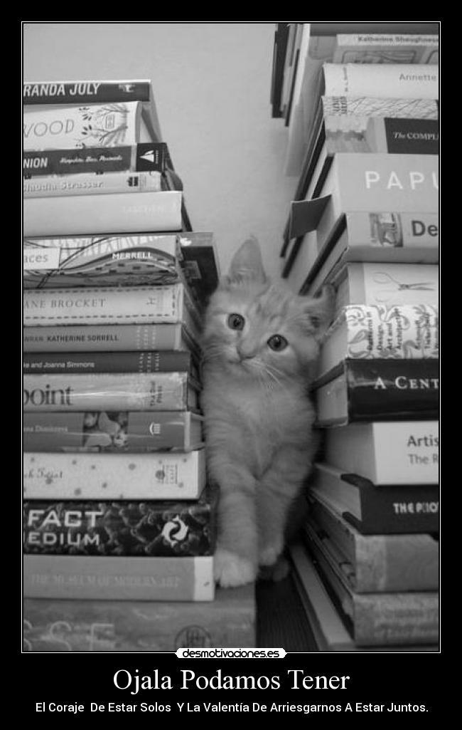 Ojala Podamos Tener -
