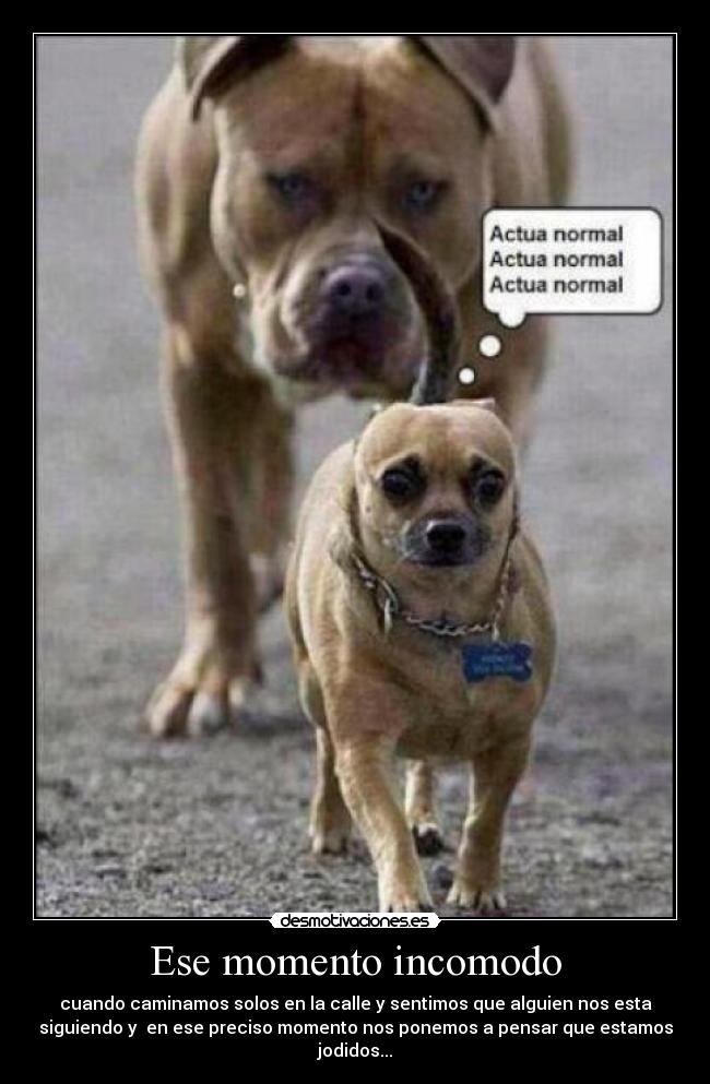 Ese momento incomodo - cuando caminamos solos en la calle y sentimos que alguien nos esta
siguiendo y en ese preciso momento nos ponemos a pensar que estamos
jodidos...
