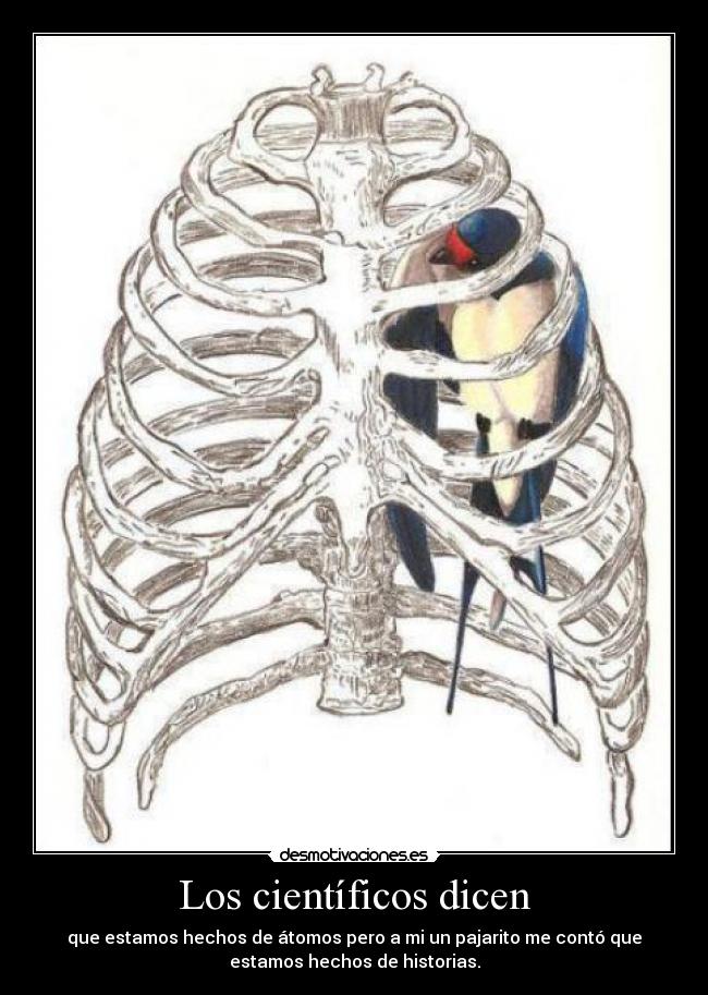 Los científicos dicen - que estamos hechos de átomos pero a mi un pajarito me contó que
estamos hechos de historias.