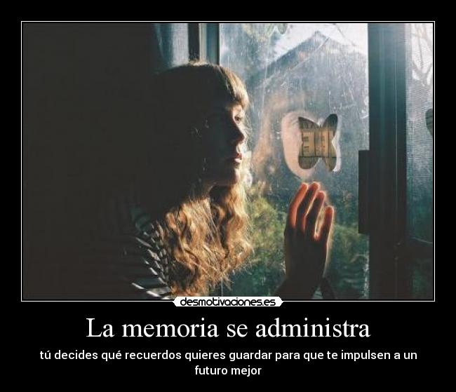 carteles vida desmotivaciones