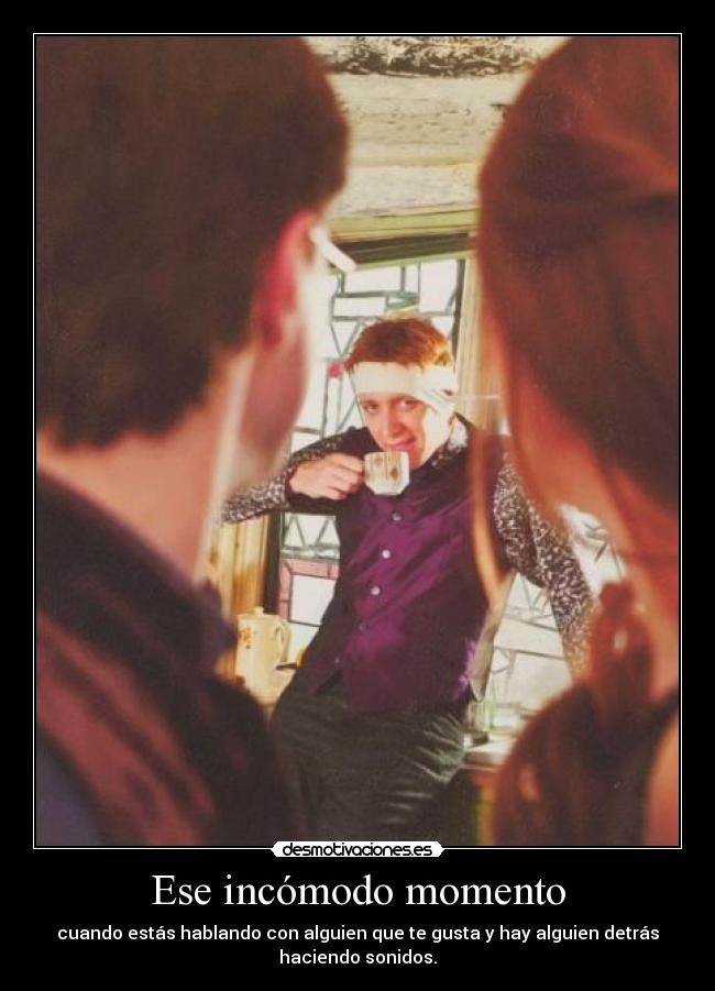 carteles gatitadelcaribe desmotivaciones