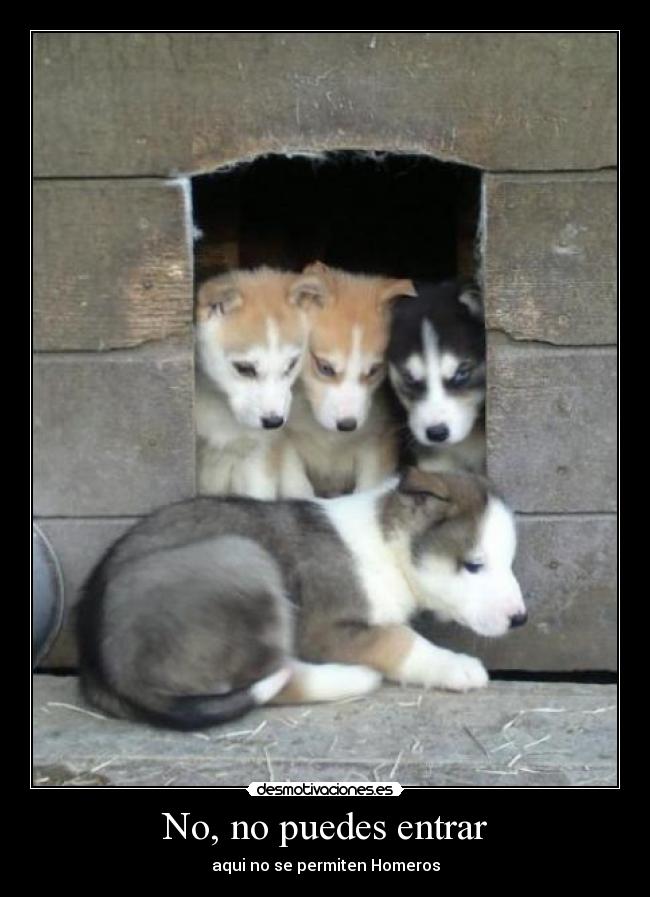 carteles ujhjj desmotivaciones