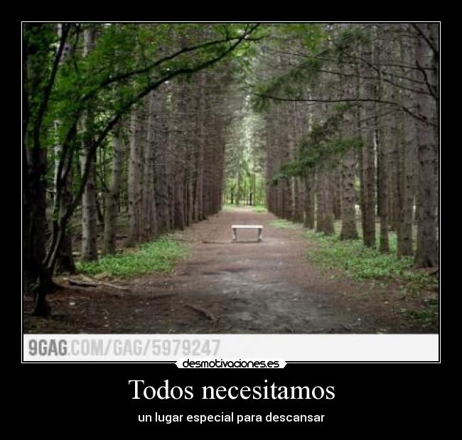 carteles anime fotos animales mas por jorge mzs desmotivaciones