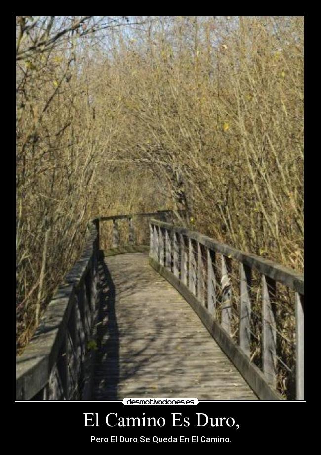 El Camino Es Duro, - Pero El Duro Se Queda En El Camino.