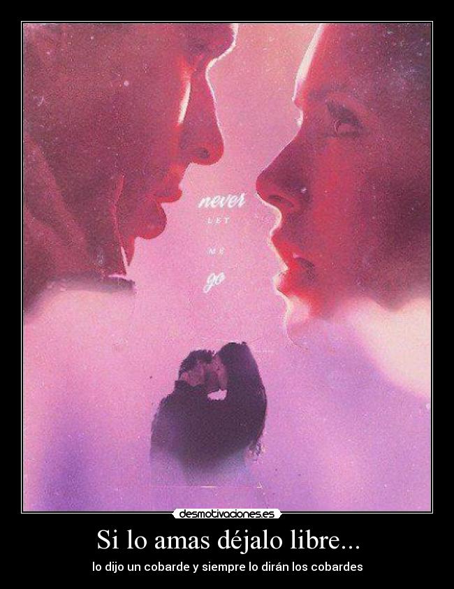 Si lo amas déjalo libre... - lo dijo un cobarde y siempre lo dirán los cobardes