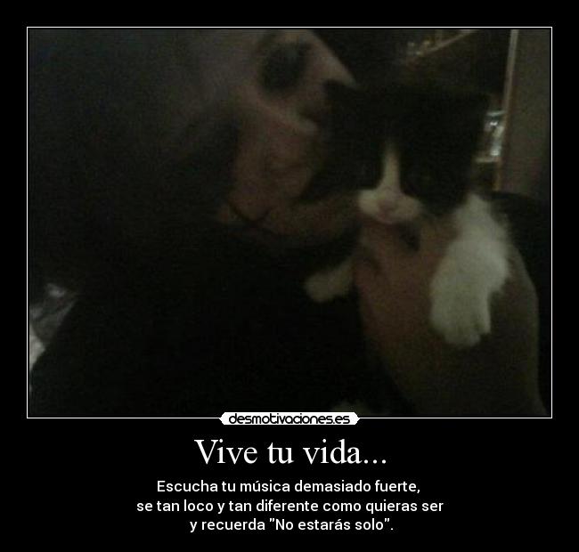 carteles vida biersack desmotivaciones