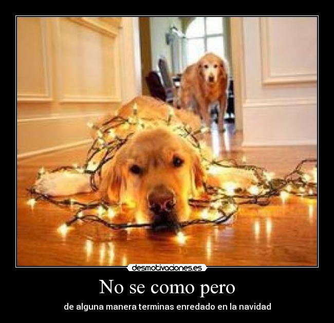 No se como pero - de alguna manera terminas enredado en la navidad