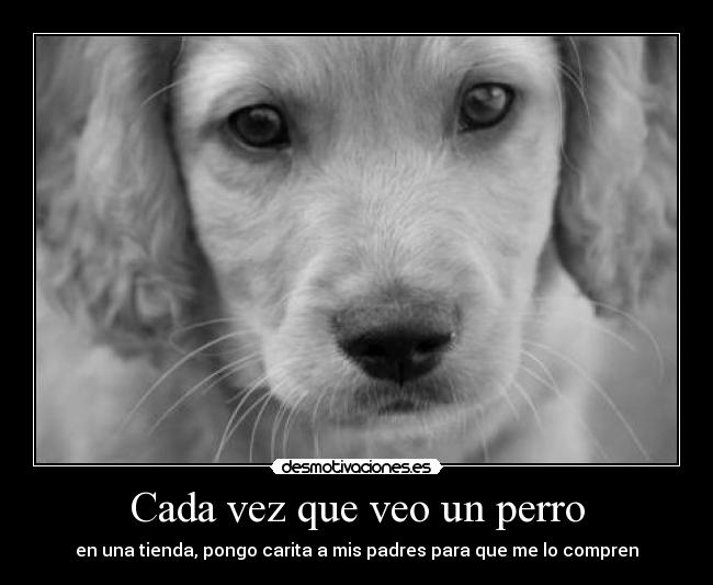 carteles caritas desmotivaciones