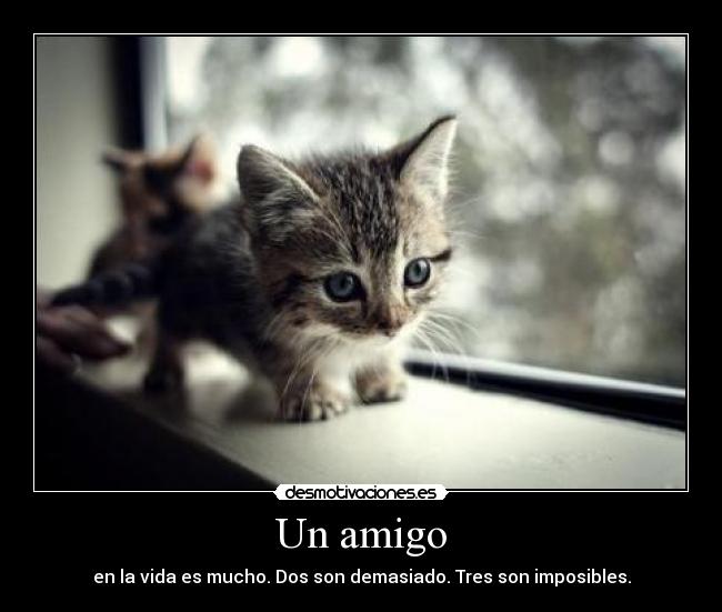 Un amigo - en la vida es mucho. Dos son demasiado. Tres son imposibles.