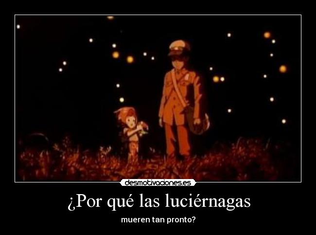 ¿Por qué las luciérnagas - 