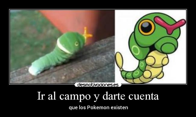 Ir al campo y darte cuenta -