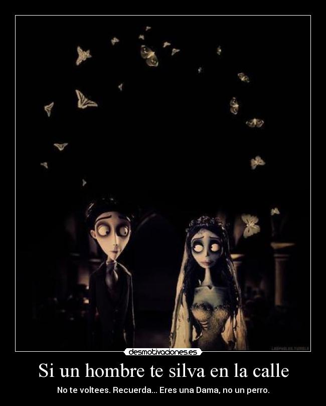Si un hombre te silva en la calle -