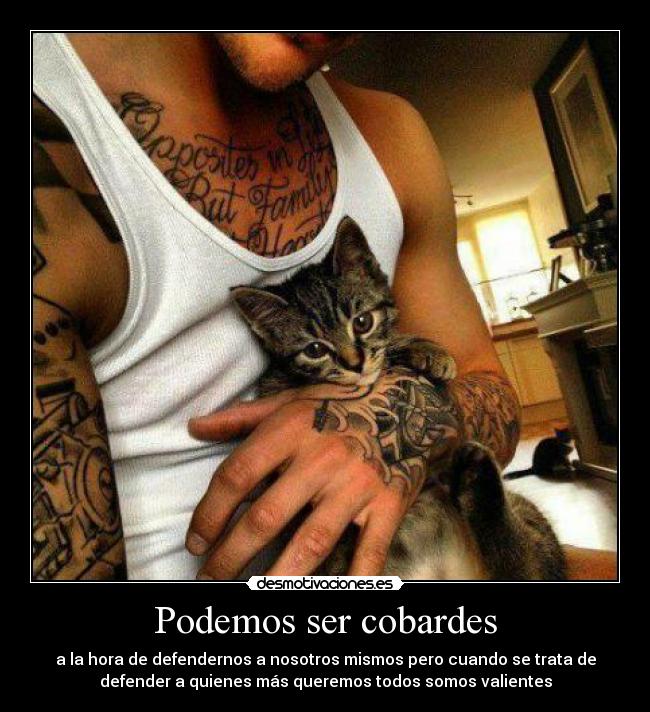 carteles queremos suficiente este cartel mola porque hay gatosw unicorniosfelices desmotivaciones