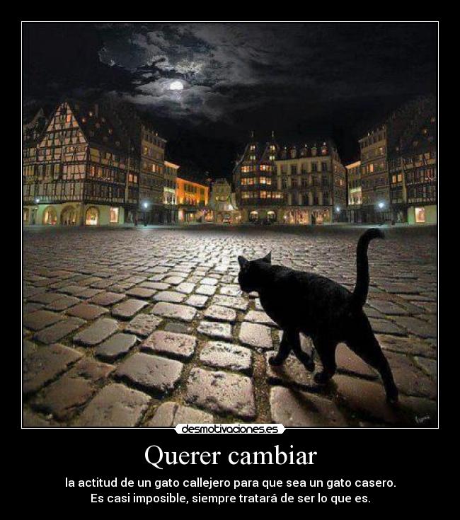 Querer cambiar - la actitud de un gato callejero para que sea un gato casero.
Es casi imposible, siempre tratará de ser lo que es.