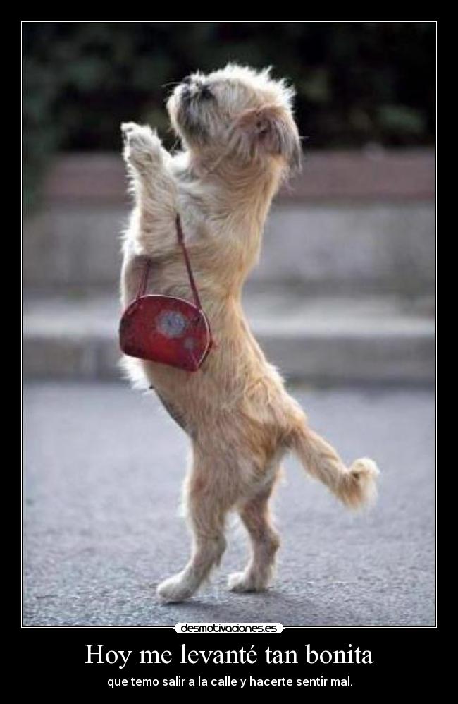 carteles vuelto despues del banneo clantriton addictive karaoke buen dia smile cara sonriente desmotivaciones