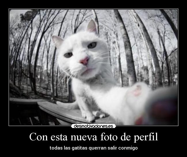 carteles fffffff desmotivaciones