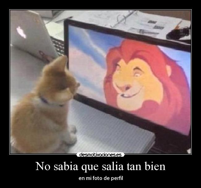 carteles ngngn desmotivaciones