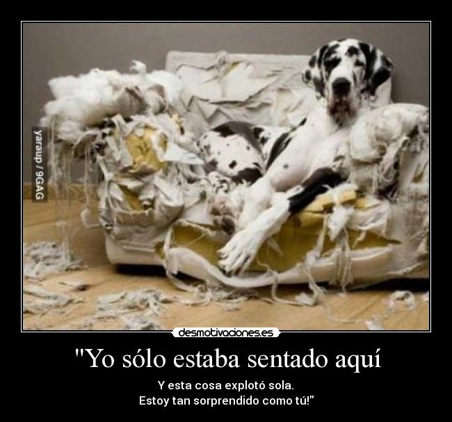 Yo sólo estaba sentado aquí - 