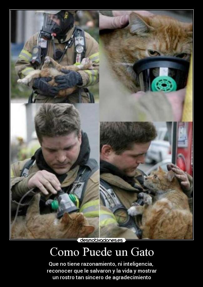 carteles motivacion dilema heroe desmotivaciones