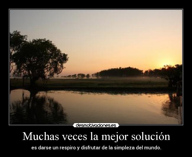 Muchas veces la mejor solución - es darse un respiro y disfrutar de la simpleza del mundo.