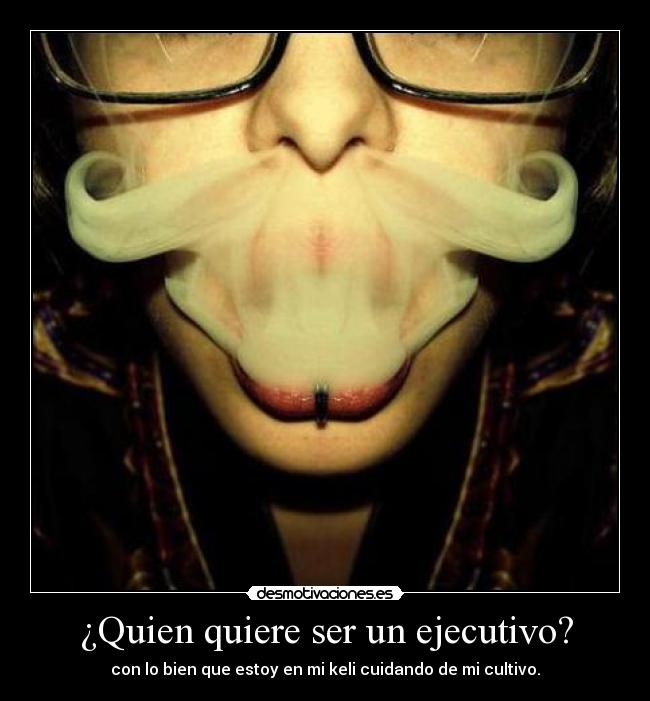 ¿Quien quiere ser un ejecutivo? - con lo bien que estoy en mi keli cuidando de mi cultivo.