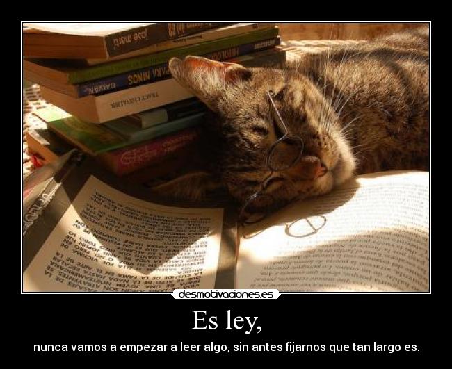 Es ley, - nunca vamos a empezar a leer algo, sin antes fijarnos que tan largo es.