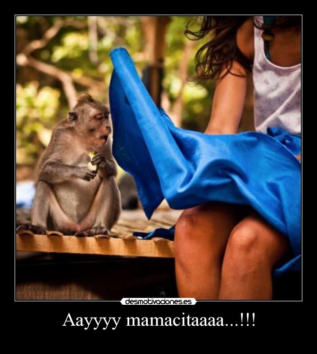 Aayyyy mamacitaaaa...!!! -