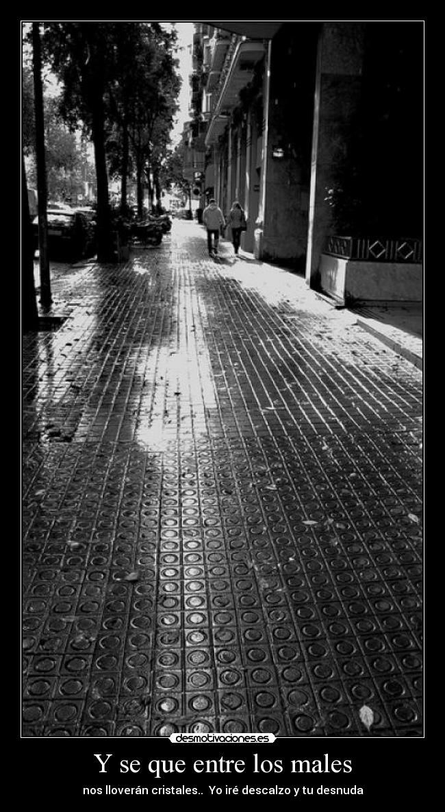 Y se que entre los males - nos lloverán cristales.. Yo iré descalzo y tu desnuda