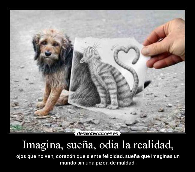 Imagina, sueña, odia la realidad, - ojos que no ven, corazón que siente felicidad, sueña que imaginas un
mundo sin una pizca de maldad.