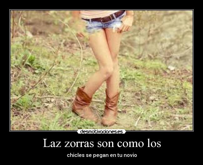 Laz zorras son como los -