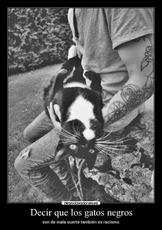 Decir que los gatos negros -