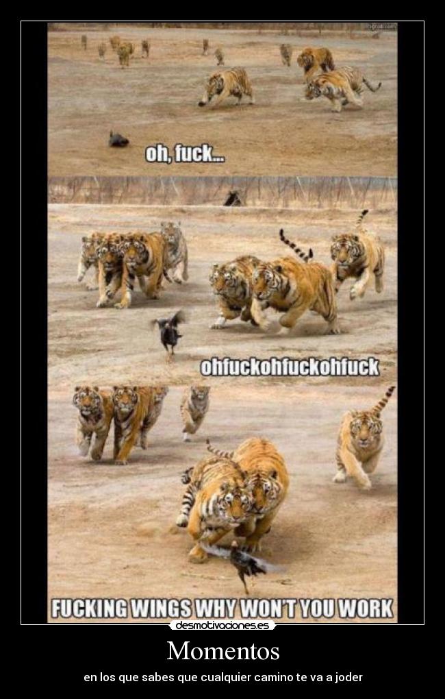 Momentos - en los que sabes que cualquier camino te va a joder
