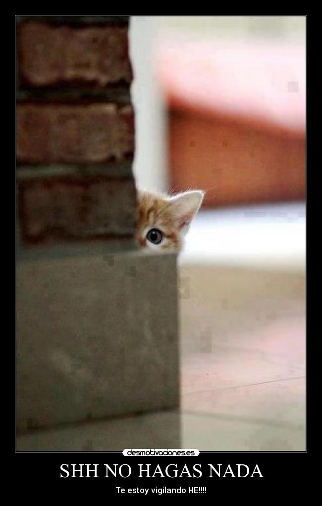 SHH NO HAGAS NADA - Te estoy vigilando HE!!!!
