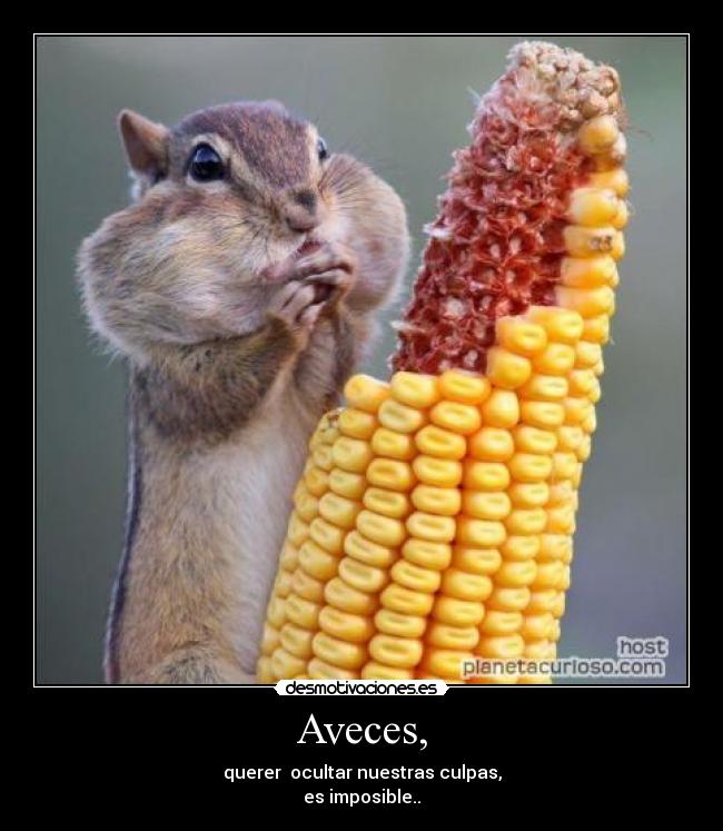 Aveces, - querer  ocultar nuestras culpas,
es imposible..