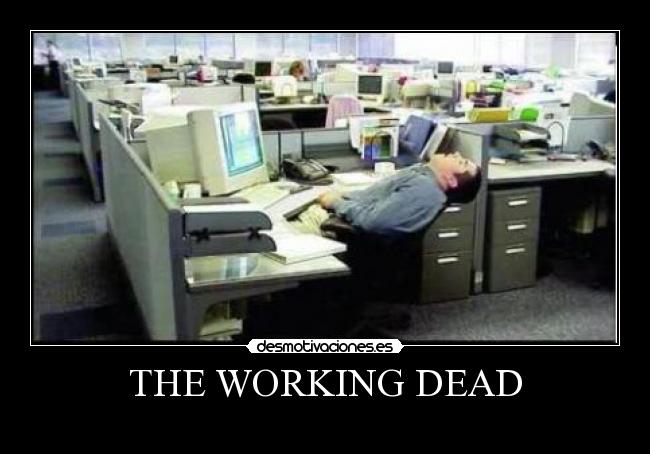 THE WORKING DEAD -