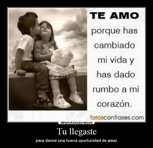 Tu llegaste - para darme una nueva oportunidad de amar.