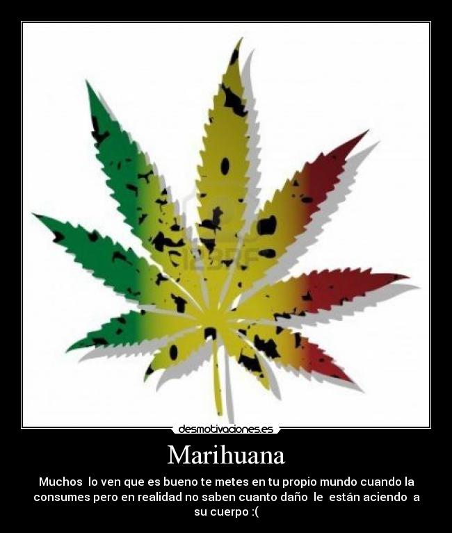 carteles 145676 desmotivaciones