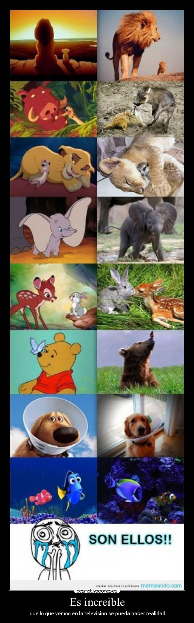 Es increible - 
