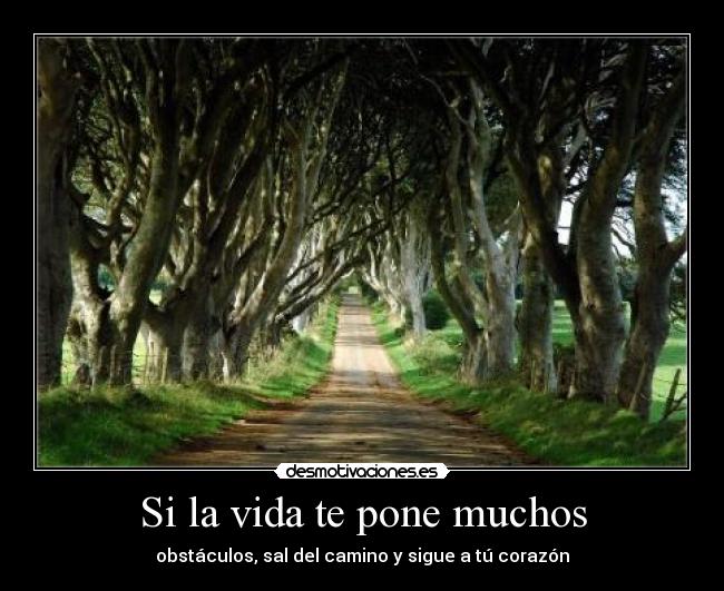 Si la vida te pone muchos - obstáculos, sal del camino y sigue a tú corazón