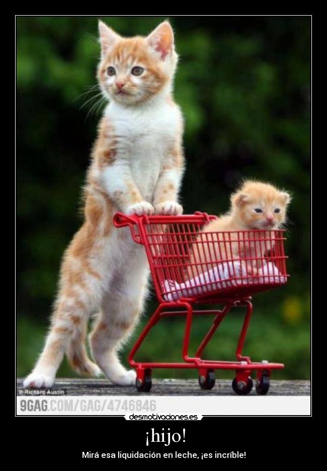 ¡hijo! - Mirá esa liquidación en leche, ¡es incríble!