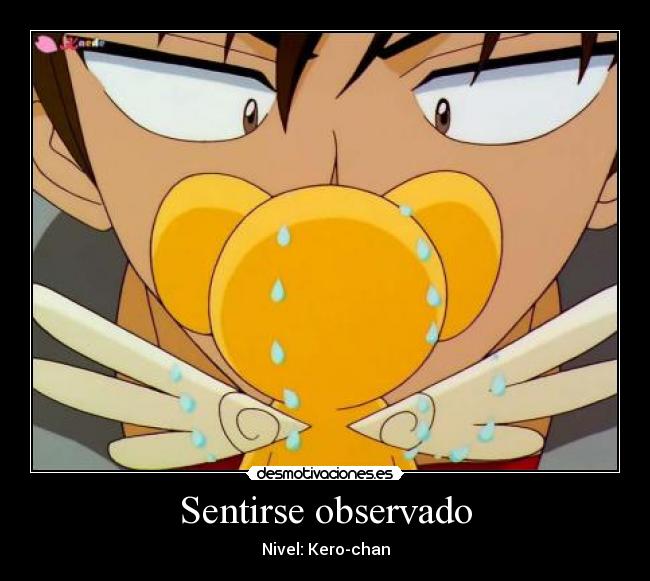 Sentirse observado - Nivel: Kero-chan
