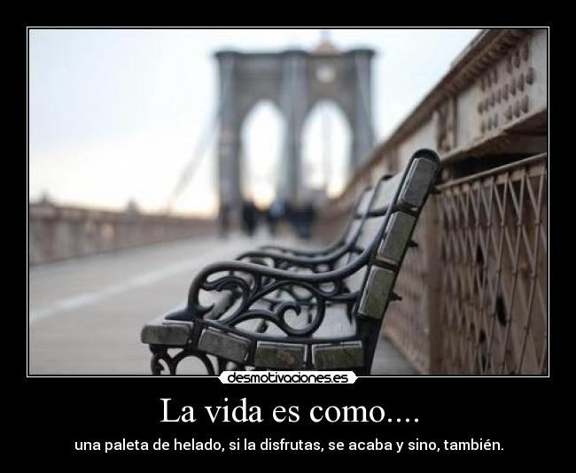 La vida es como.... - 