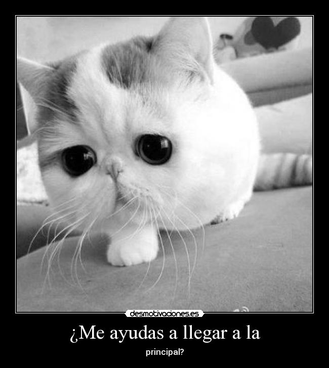 ¿Me ayudas a llegar a la -