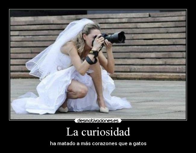 carteles jasdpuapsdulqwpnasd momentos los que deberia estar estudiando desmotivaciones