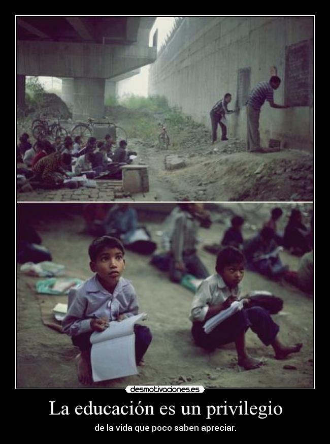 carteles real desmotivaciones