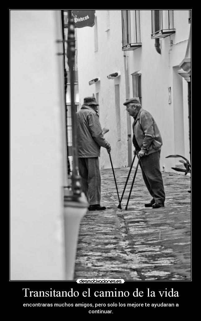 carteles vida asjfh desmotivaciones