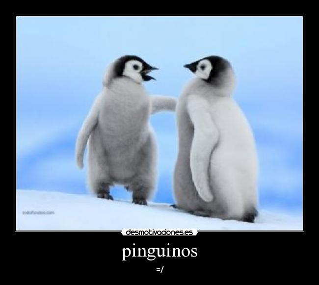 carteles pinguinos desmotivaciones