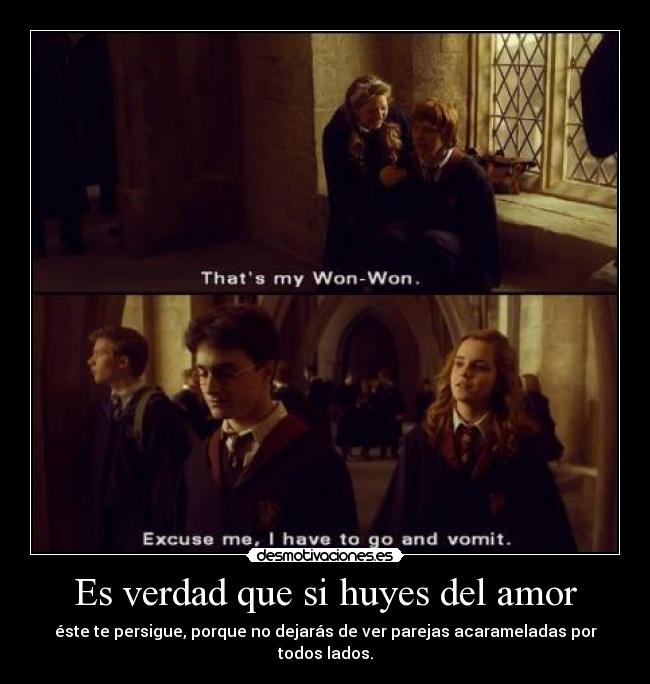 Es verdad que si huyes del amor - éste te persigue, porque no dejarás de ver parejas acarameladas por todos lados.